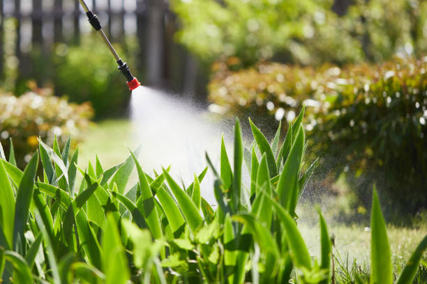24/7 Emergency Wasp Removal experts in Stratford, TX